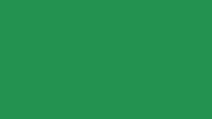GREEN 300x169 - GREEN